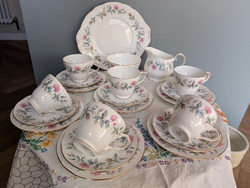 Duchess bramble rose bone - bramble,