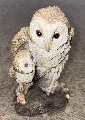 Barn owl and chick - and,