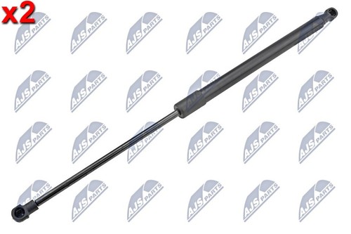 Tailgate trunk gas - 2x,