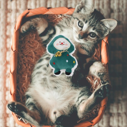 3pcs cat catnip - 3pcs, cartoon