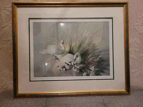 Vernon ward swan print - vernon,