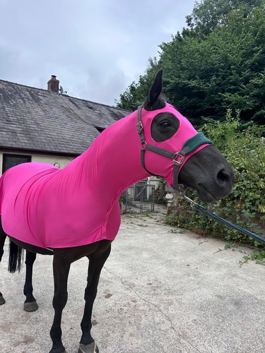 Pink lycra horse hood with - pink,