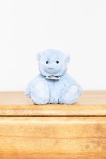 Charlie Bears Travel Buddy Scott (boxed)