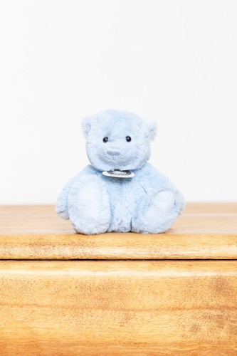 Charlie bears travel buddy - bears,