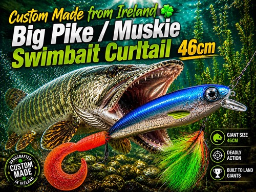 Pike fishing - pike,