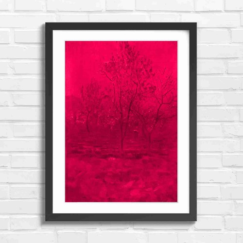 Blooming orchard trees - blooming, spring