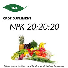 NMG NPK 20-20-20 PLUS