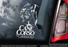 Cane Corso - Car Window