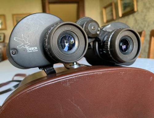 Vintage ozeck hawk - hawk, series