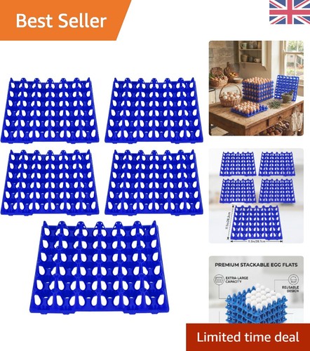 Multi functional 5pcs - blue, egg