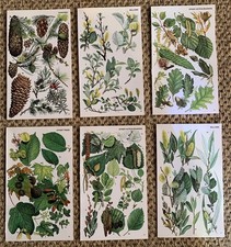 6x Vintage 1974 Botanical Book
