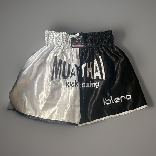 Evo muay thai fight - muay,