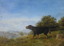 Antique Dog on a hill