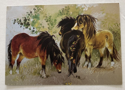 Used dufex postcard woodland - used,