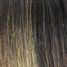 Shake N Go Organique Pony Pro