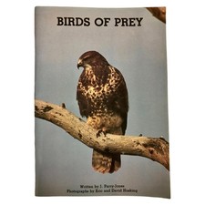 Birds Of Prey by J