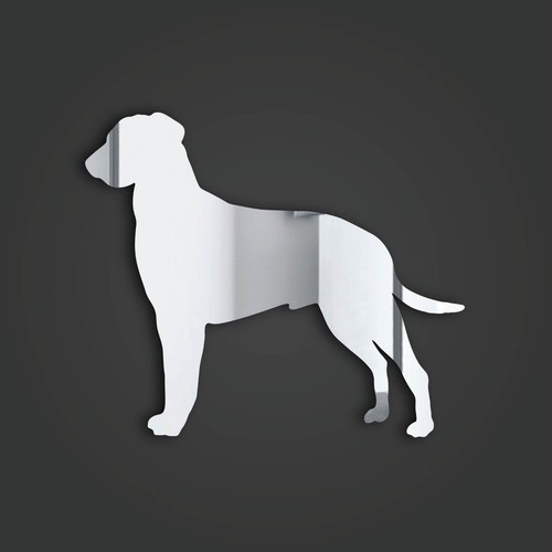 Curly coated retriever style - coated, 1