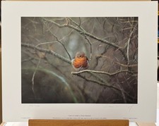 Steven Townsend - Study Of A