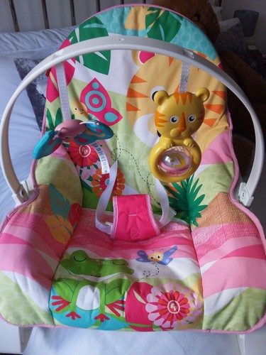 Fisher price multi position - multi,