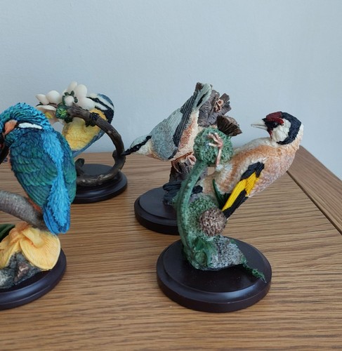 The country bird collection - bird,