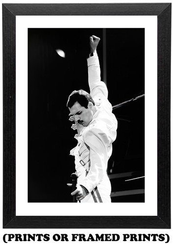 Freddie mercury b w - freddie, b&w