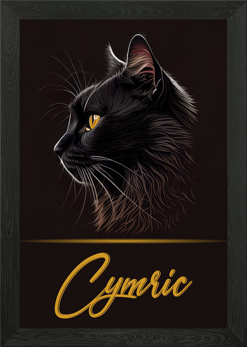 Elegant cymric framed - elegant, wall