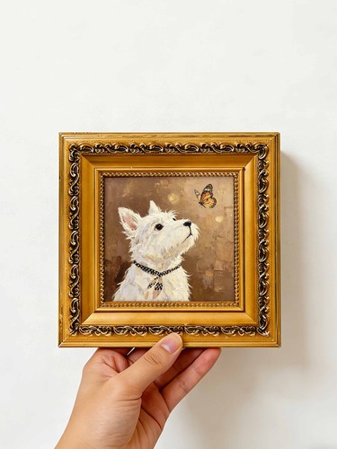 West highland terrier watching - highland,