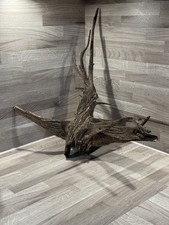 Natural Wood Spider Bogwood