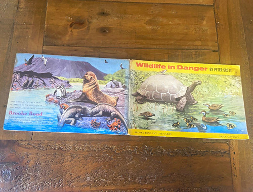 Brooke bond tips wildlife - brooke,