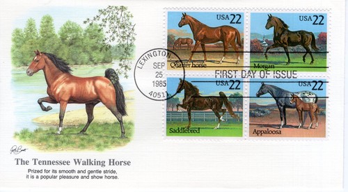 The tennessee walking horse - the,