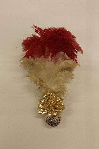 Military badge hackle royal - badge,
