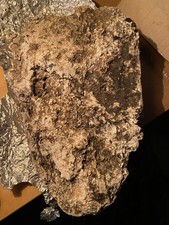 Ambergris 10grams (ten ) Irish