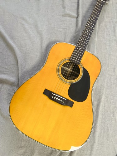 Style acoustic guitar - d-28,