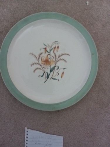 Wedgewood tiger lily - wedgewood,