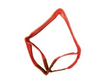 Duplex Web Sling 5 Ton 10