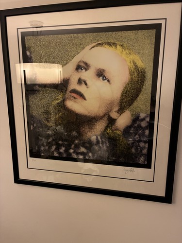 David bowie hunky dory terry - david,