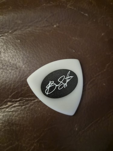 Bruce springsteen guitar pick - bruce,