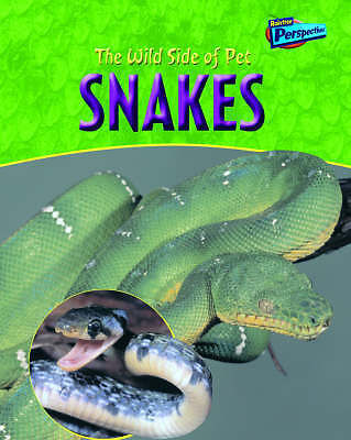 Pet snakes raintree - pet,