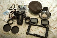 Seafrogs Sony A7C Underwater