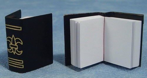 Two thick black books - thick,