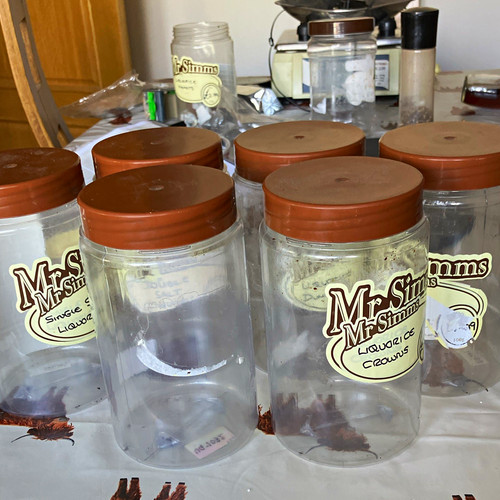 Clear plastic sweet - clear, jars
