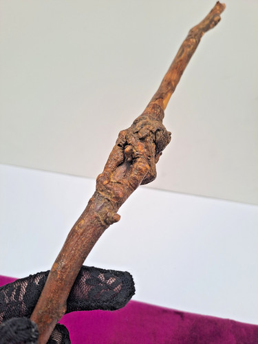 Hand sculpted blessed - hand,