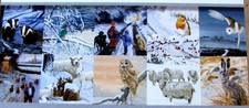 REDUCED -POLLYANNA PICKERING