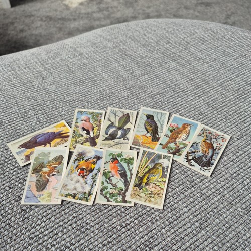 Brooke bond full set - brooke, (tea)-full