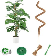 Bendable Moss Pole Plant