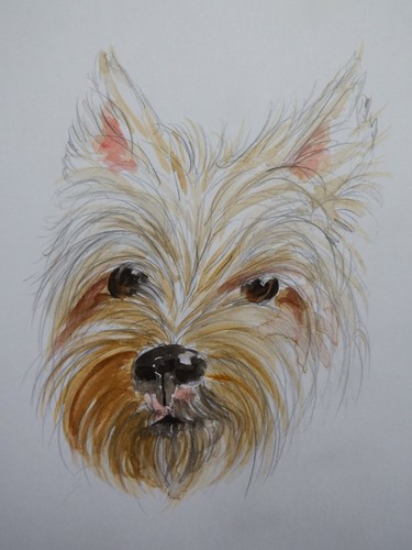 Watercolour painting dog