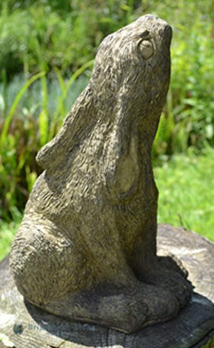 Mother moon gazing - mother, hare