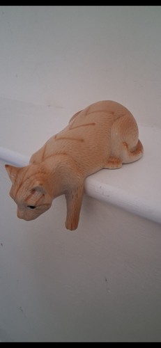Ginger tom cat - tom,