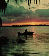 Vintage Postcard - The Days