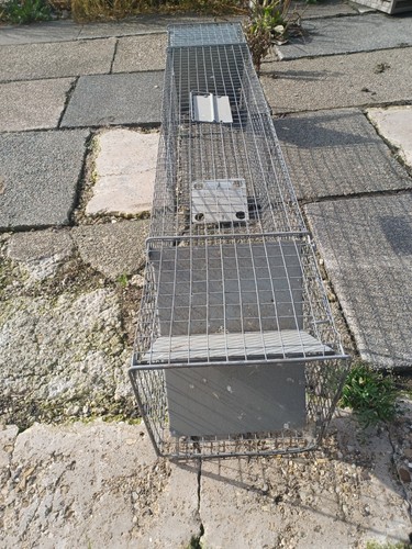 Small animal trap - animal, two
